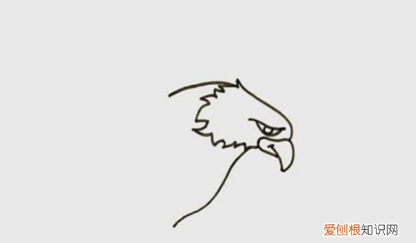 鹰怎么画，老鹰怎么画霸气