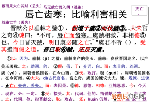 唇亡齿寒什么意思，唇亡齿寒中宫之奇用什么来形容虞虢