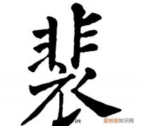 裴怎么读，裴厶桡名字怎么读