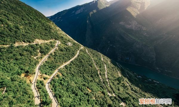 驾驶证降级需要什么手续，驾驶证降级需要怎么办理