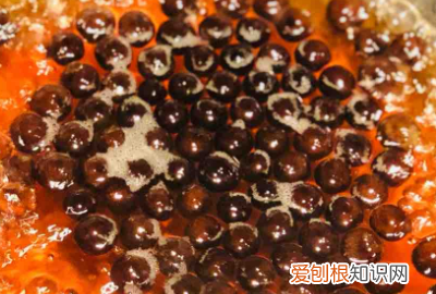 怎么做黑糖珍珠茶，黑糖珍珠奶茶怎么做