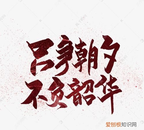 韶华的寓意，韶华已逝陌路流年寓意