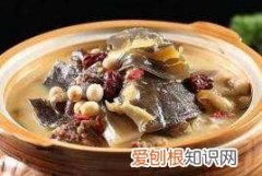 鳖的做法及吃法，鳖怎么做汤好吃的视频