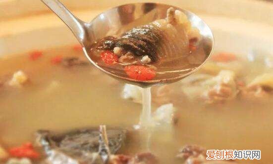 鳖的做法及吃法,鳖怎么做汤好吃的视频