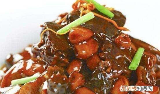 鳖的做法及吃法,鳖怎么做汤好吃的视频