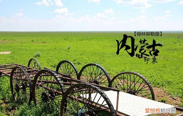 内蒙古盟里和旗里是什么意思 内蒙古一个盟和旗的区别