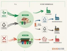 垃圾分类大分流指什么，生活垃圾分类原则大分类