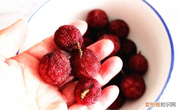 怎么洗才能使杨梅的小虫洗出来