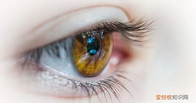 人的眼睛有多少像素,人的眼睛先看到像素是多少