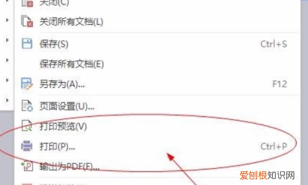 word打印功能在哪里，Word黑白打印在哪设置