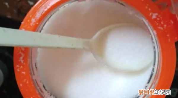 家常红烧甲鱼怎么做,红烧甲鱼的家常做法简单