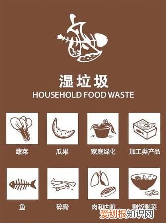 干垃圾有哪些