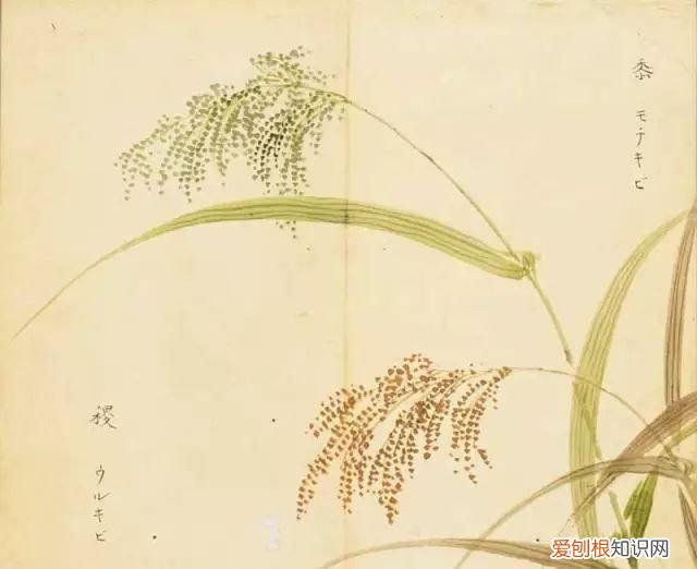 黍怎么读，柴门寂寂黍饭馨的馨怎么念xing