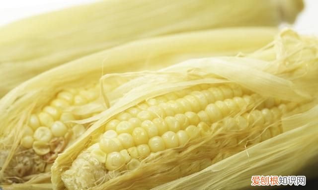 玉米冷水下锅要煮多久才熟