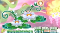 婌萍的寓意