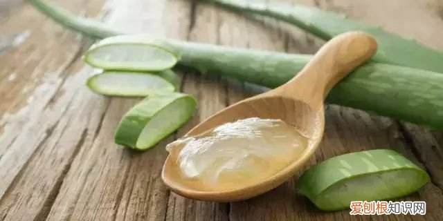 正宗龟苓膏是拿什么做的，正宗龟苓膏是什么做的