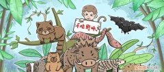 怎样保护野生动物，如何劝说家人一起保护野生动物