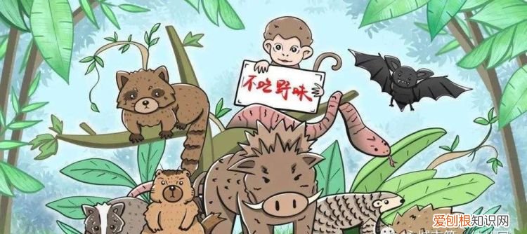 怎样保护野生动物,如何劝说家人一起保护野生动物