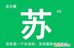 苏姓的来源，甘肃苏姓的来源和历史