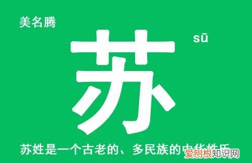 苏姓的来源，甘肃苏姓的来源和历史