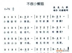 太阳起的早不做小懒猫是什么歌
