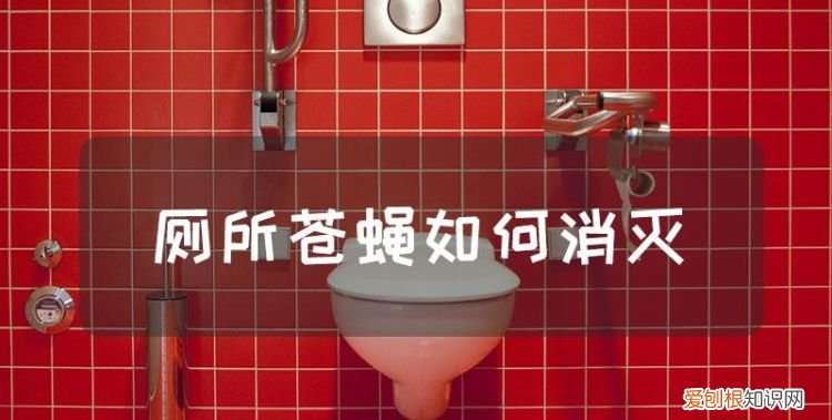 厕所灭苍蝇最有效的方法