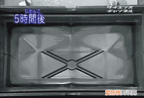 如何制作纯透明的冰块，如何制作出透明冰块