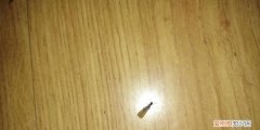 家里很多涨水蚊怎么办