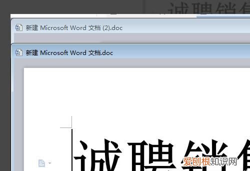 word文档该如何竖向排版，word文档怎样翻译成英文
