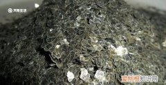 云母是什么，云母最显著的特点是什么