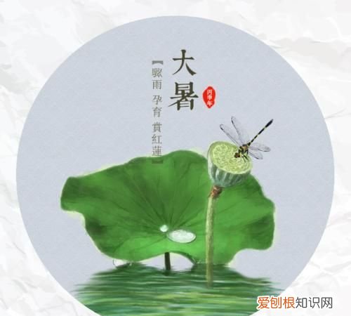 大暑节气特点,大暑的景物特点是什么