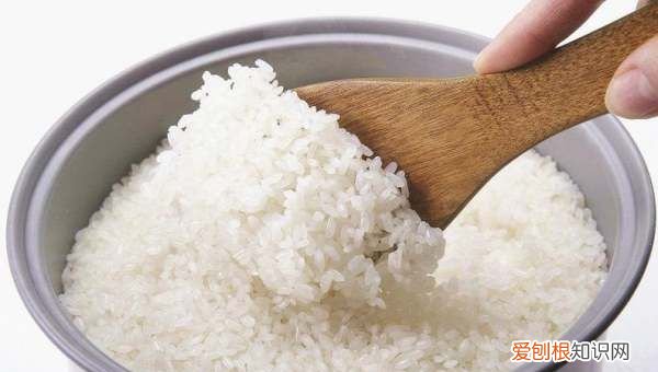 煮饭怎么把握水放多少，蒸米饭时怎么判断加多少水了