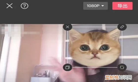 剪映怎么给添加贴纸，《剪映》添加贴纸方法视频