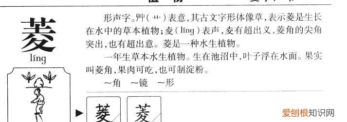 若菱的寓意，菱灿的意思及寓意