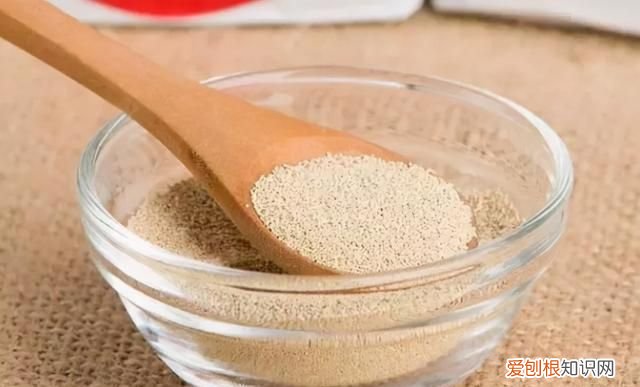 快速发面和放酵母的比例 发面放多少酵母才合适