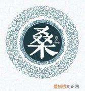 桑姓起源，桑姓的来源