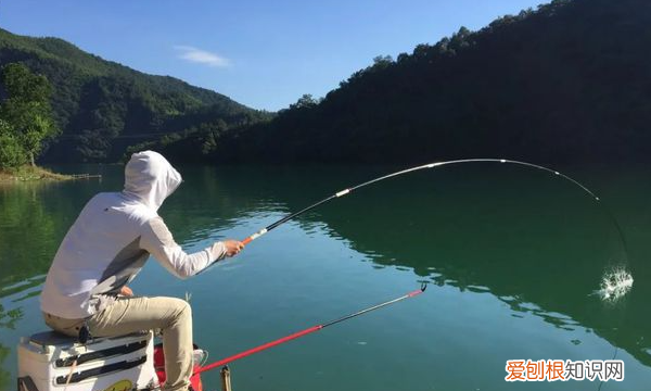 滑漂钓鲫鱼用多大的漂,吃铅5克的漂能滑漂钓鲫鱼吗