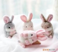 毛绒绒和毛茸茸哪个对，毛绒绒和毛茸茸的区别