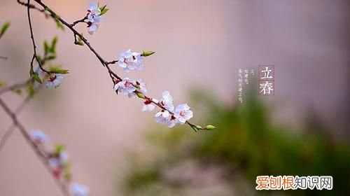 春天有几个节气，动物世界里说春天是交配的季节夏天是产卵的季节冬天是养精的季节那么秋天呢