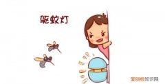 快速驱蚊小妙招，怎样驱除蚊子驱蚊小妙招
