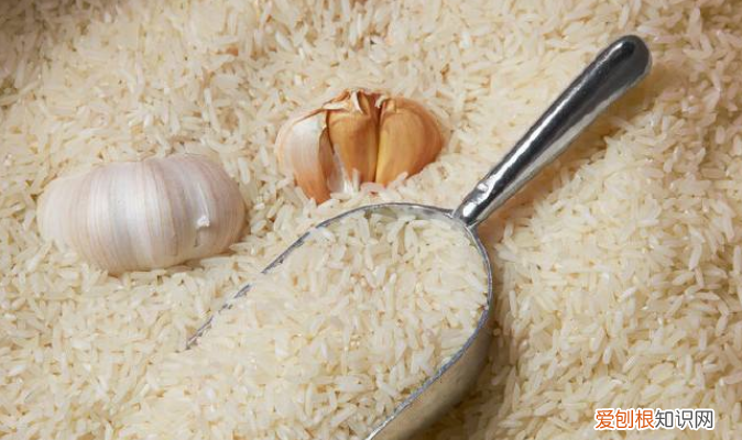 米怎么保存不长虫不发霉，大米怎么储存才能不发霉