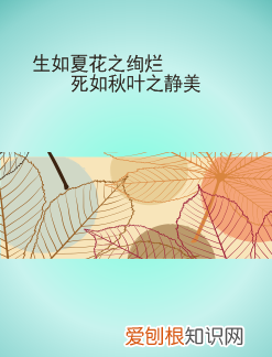 cdr怎么裁剪掉多余的部分，cdr的裁剪工具应该如何使用