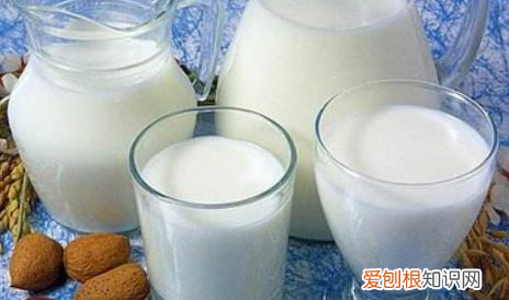 牛乳茶和奶茶的区别，牛乳和鲜牛奶有什么区别