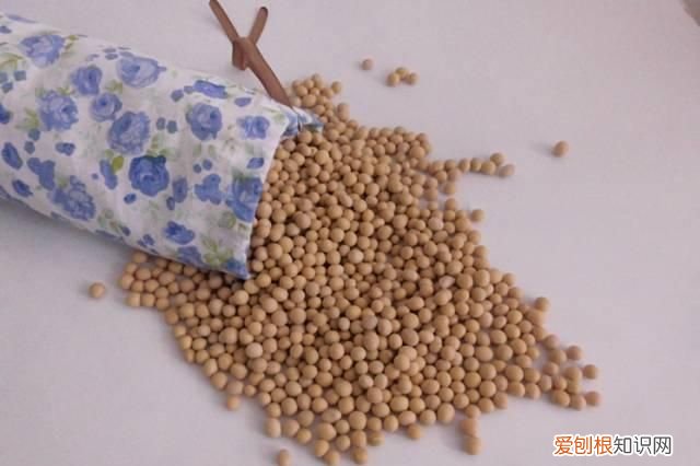 黄豆枕头是生的还是熟，黄豆做枕头炒熟的好还是生的好呢