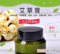 艾可以驱蚊吗，柠檬加艾叶能驱蚊