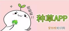 种草什么意思