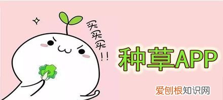 种草什么意思