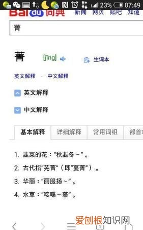 青文的寓意