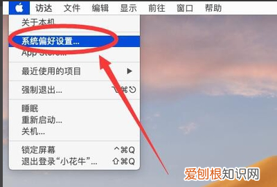 为什么苹果电脑的系统占这么多，苹果笔记本系统偏好设置怎么打开