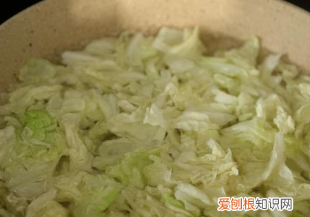凉拌白菜的做法,拌凉白菜做法凉拌窍门